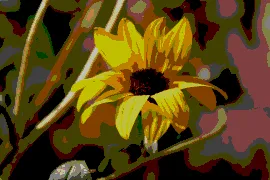 文章封面图：告慰我所悲伤