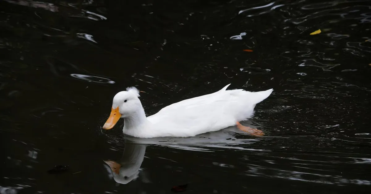 文章封面图：拾遗-251105