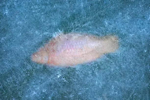 文章封面图：长河改