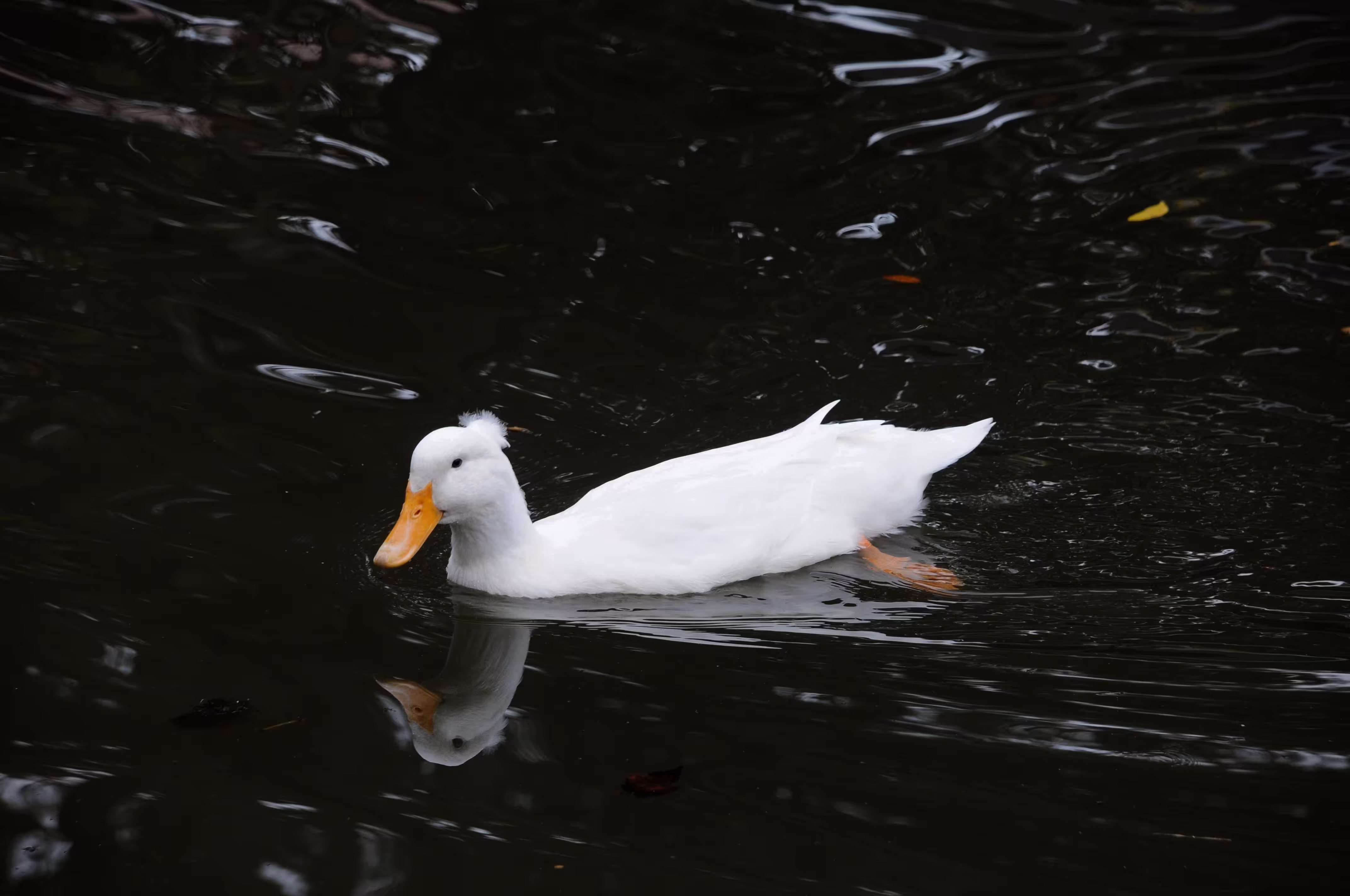 文章封面图：拾遗-251105